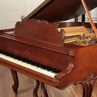 Används, Steinway & Sons, M-170