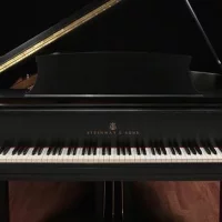 Używany, Steinway & Sons, M-170