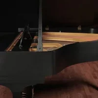 Używany, Steinway & Sons, M-170