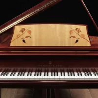 Occasion, Steinway & Sons, L-179