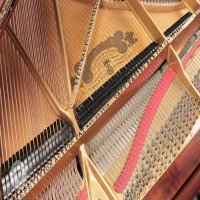 Usato, Steinway & Sons, B-211