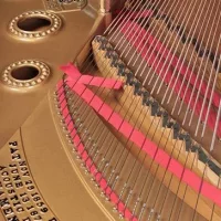 Used, Steinway & Sons, B-211