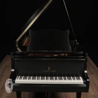 Używany, Steinway & Sons, B-211