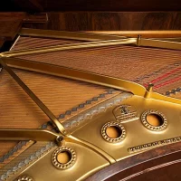 Używany, Steinway & Sons, B-211