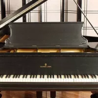 Usado, Steinway & Sons, C-227