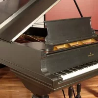 Usado, Steinway & Sons, C-227