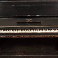 Używany, Steinway & Sons, E (Style 1)