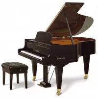 Nuovo, Bosendorfer, 170