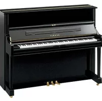 Nowy, Yamaha, U1Q