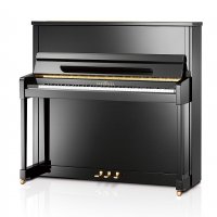 Nowy, Schimmel, C 121 Elegance