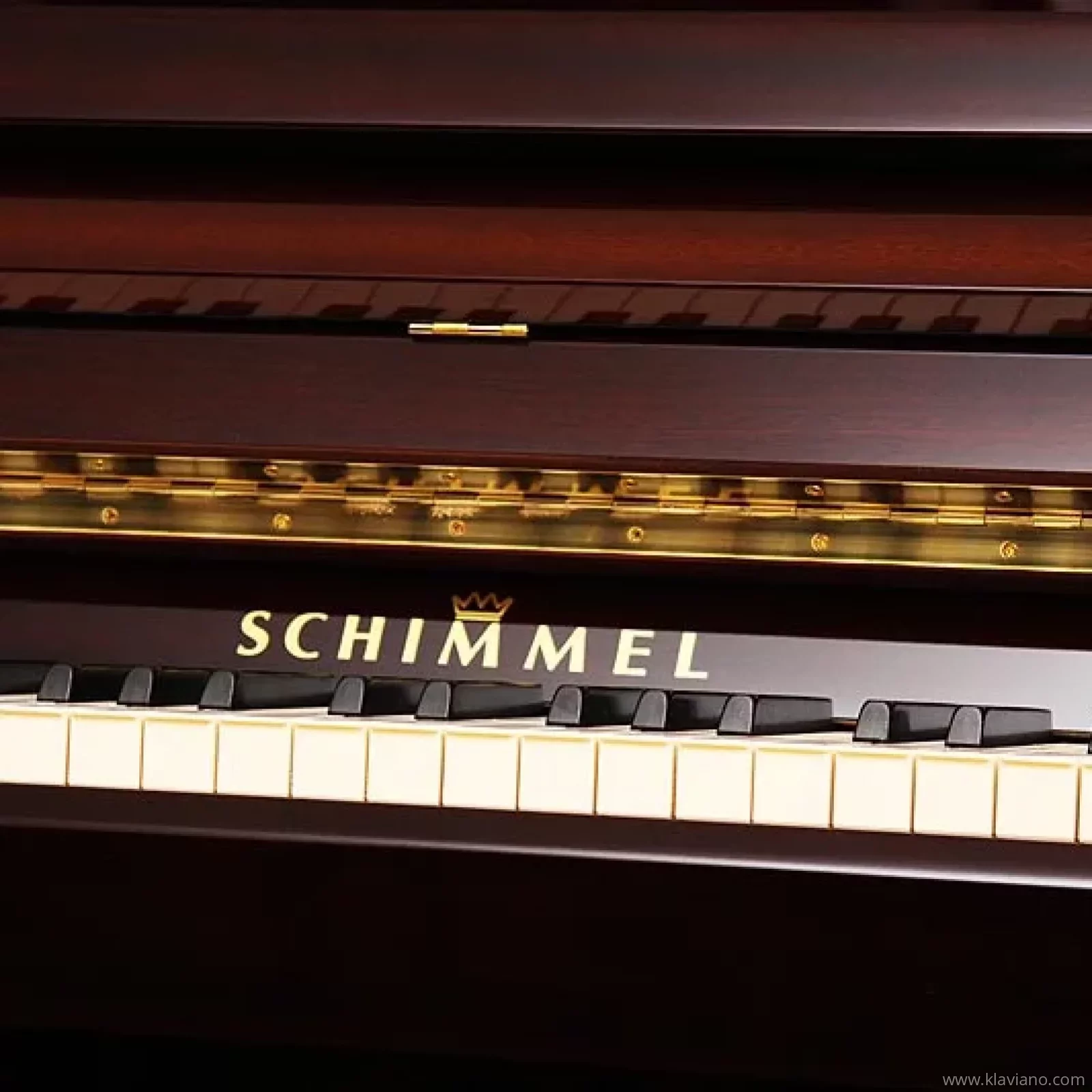 Nuevo, Schimmel, C 121 Tradition