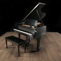 Usato, Steinway & Sons, B-211