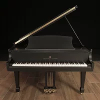 Occasion, Steinway & Sons, L-179