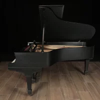 Używany, Steinway & Sons, B-211