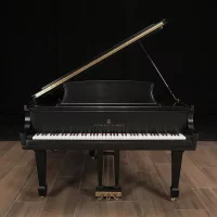 Används, Steinway & Sons, M-170