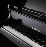 Nuovo, Kawai, GX-6