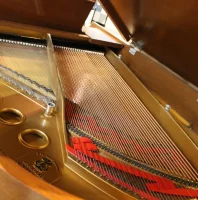 Usado, Steinway & Sons, M-170