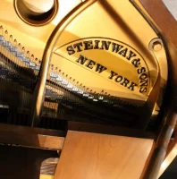 Används, Steinway & Sons, M-170