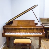 Usato, Steinway & Sons, M-170