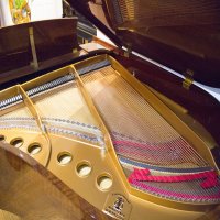 Used, Steinway & Sons, M-170