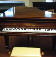 Gebruikte, C. Bechstein