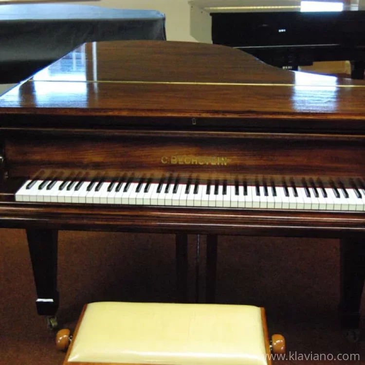 Used, C. Bechstein