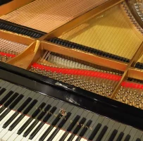 Steinway & Sons, M-170