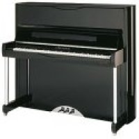 Nuovo, C. Bechstein, A 124 (B 124) Style