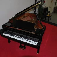 Används, Steinway & Sons, B-211