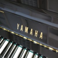 Usado, Yamaha, U10B