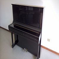 Gebruikte, Yamaha, U3H