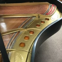 Używany, Steinway & Sons, M-170