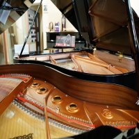 Yamaha Dgb1k Enst Pe - Disklavier Enspire grand piano 151 cm