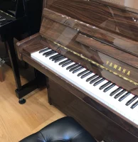 Nuovo, Yamaha, b1