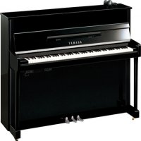 Nowy, Yamaha, b2E SC2