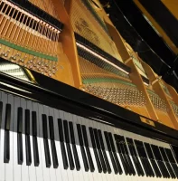 Used, C. Bechstein, C 234