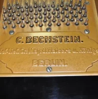 Används, C. Bechstein, C 234