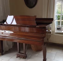 Używany, Steinway & Sons, S-155