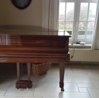 Używany, Steinway & Sons, S-155