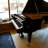 Nuevo, Bosendorfer, 280VC