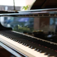 Nuevo, Bosendorfer, 280VC