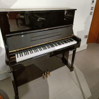 Używany, Yamaha, U1