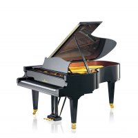 Nuevo, C. Bechstein, B 212