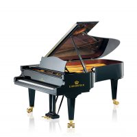 Nuevo, C. Bechstein, C 234