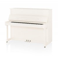 Nieuw, C. Bechstein, A 124 (B 124) Imposant