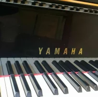 Used, Yamaha, C7