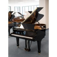 Occasion, Steinway & Sons, B-211