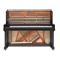 Nya, Bösendorfer, 120