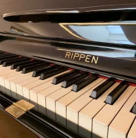 Used, Rippen, Maestro (Art Deco)