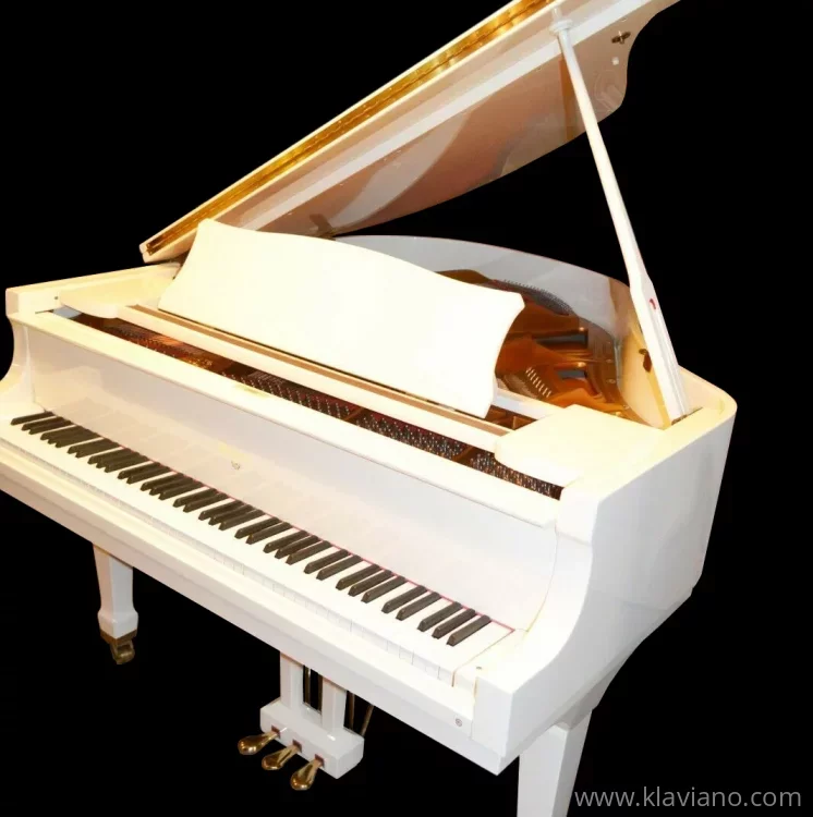 Occasion, Wurlitzer, G-411